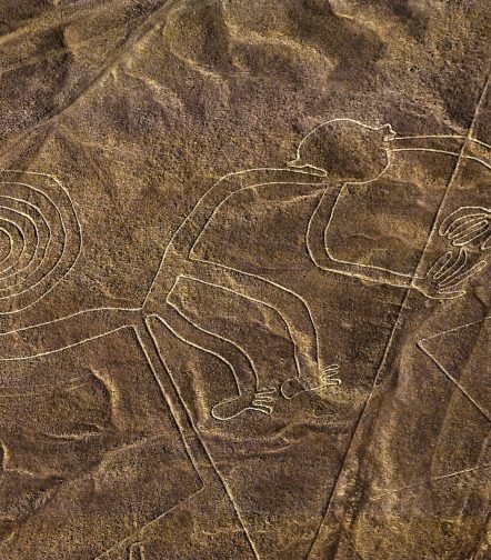 The Nazca Lines