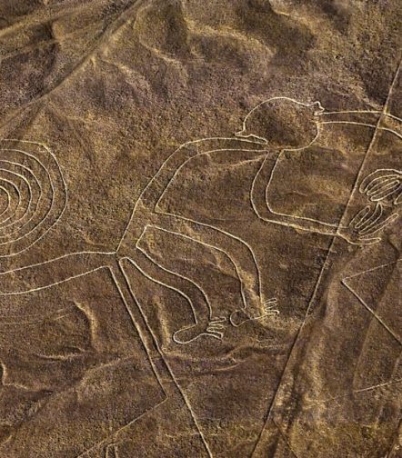 fly-nazca-lines-11