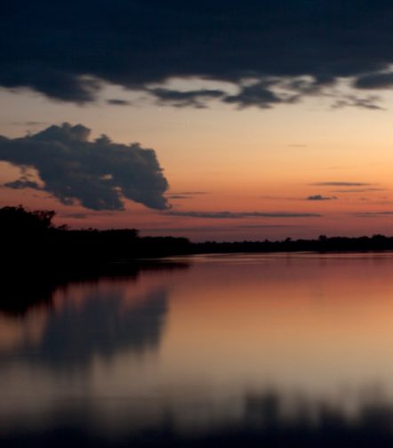 peruvian-amazon-1